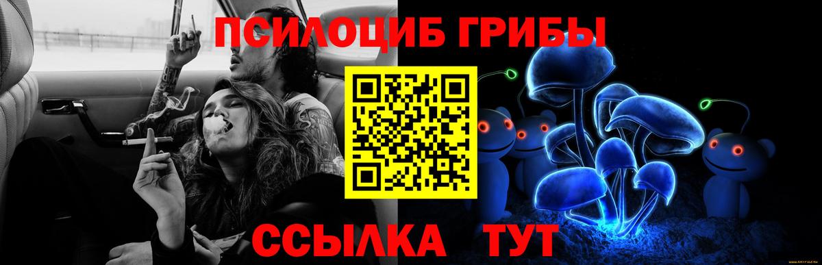 Галлюциногенные грибы Psilocybine cubensis  Вход с VPN  Искитим  Псилоцибиновые грибы ЛСД 